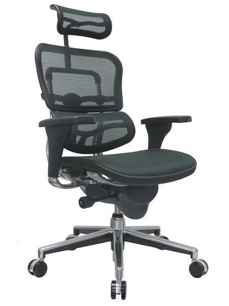 Ergohuman Elite Chair