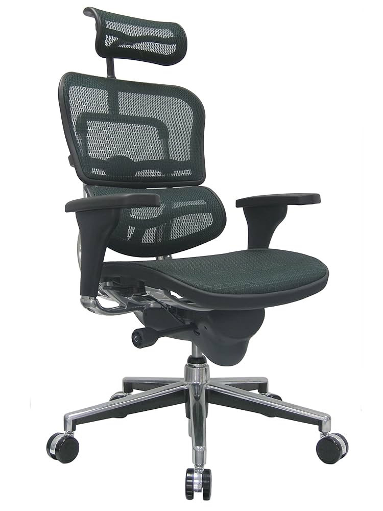 Ergohuman Elite Chair